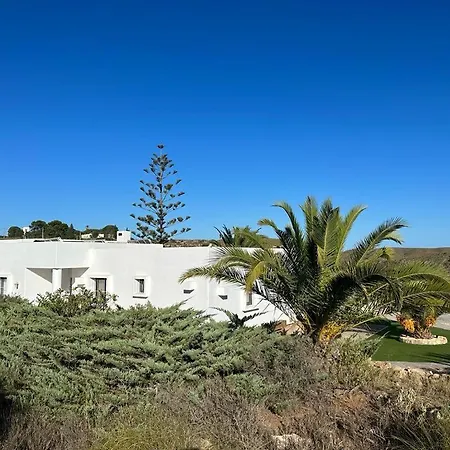 Palmitos *